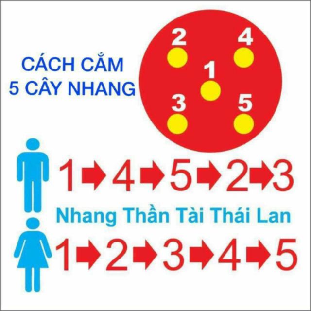 Nhang sạch cuốn tàn 40cm (79 cây)